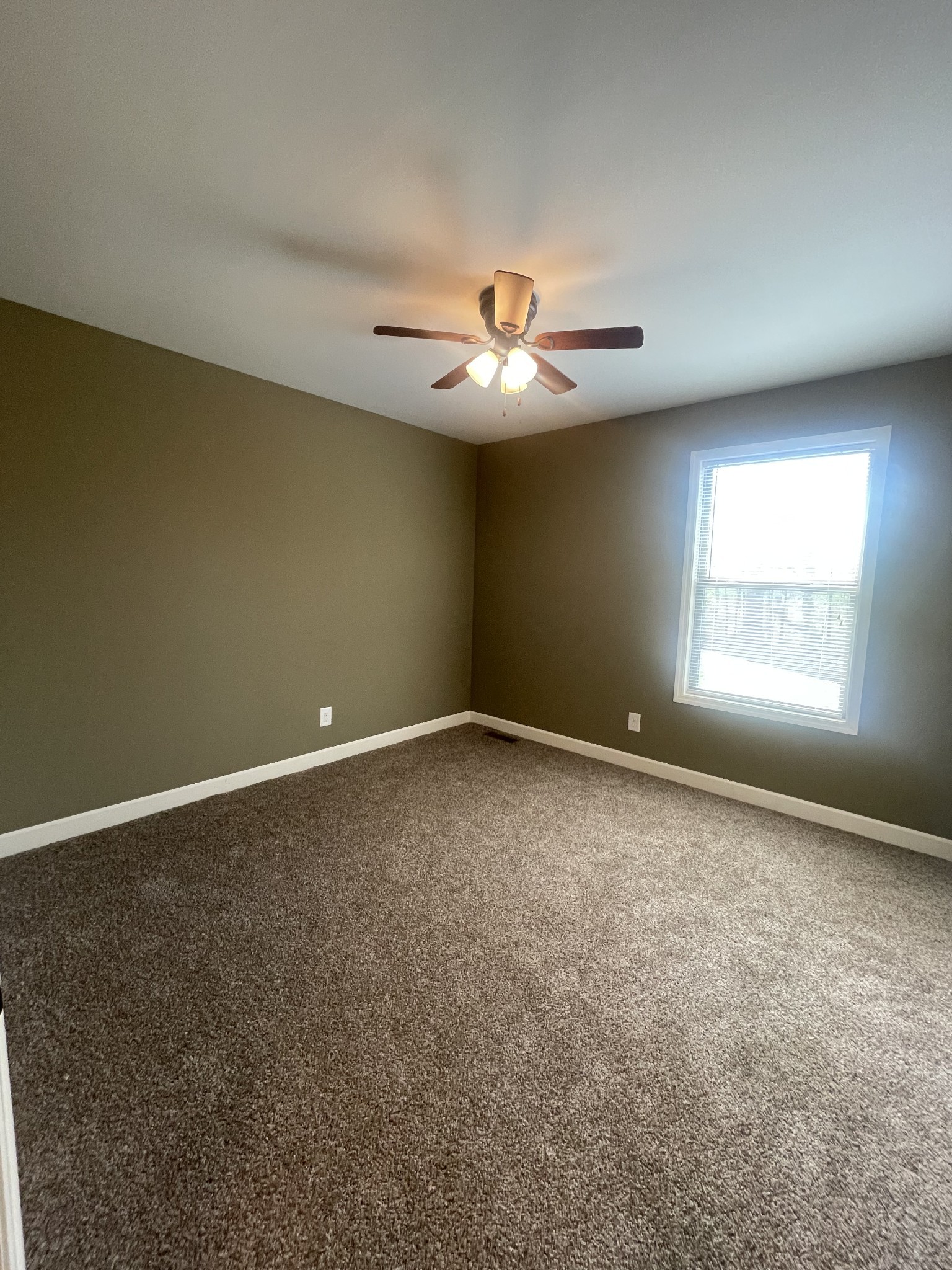 1256 Prosser Road Leoma, TN 38468 - Photo 17 of 23