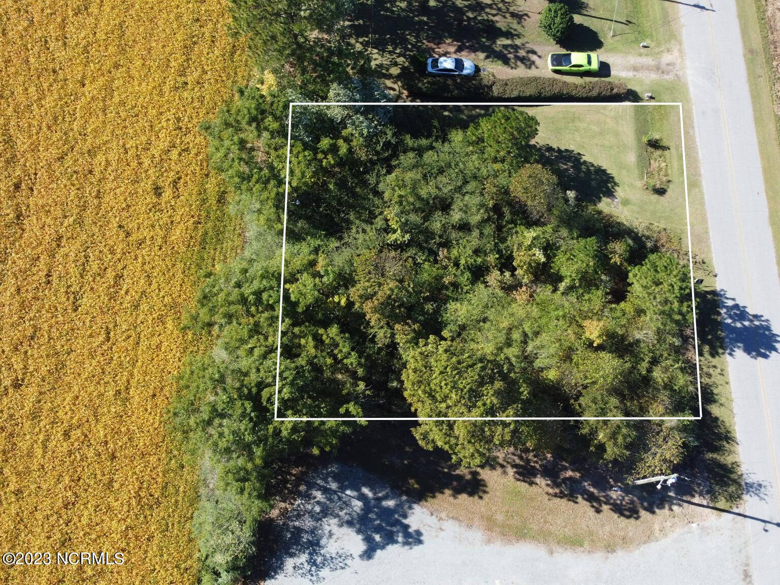 369 Daughtery Field Road Mount Olive, NC 28365 - Photo 2 of 5 Side of Lot
