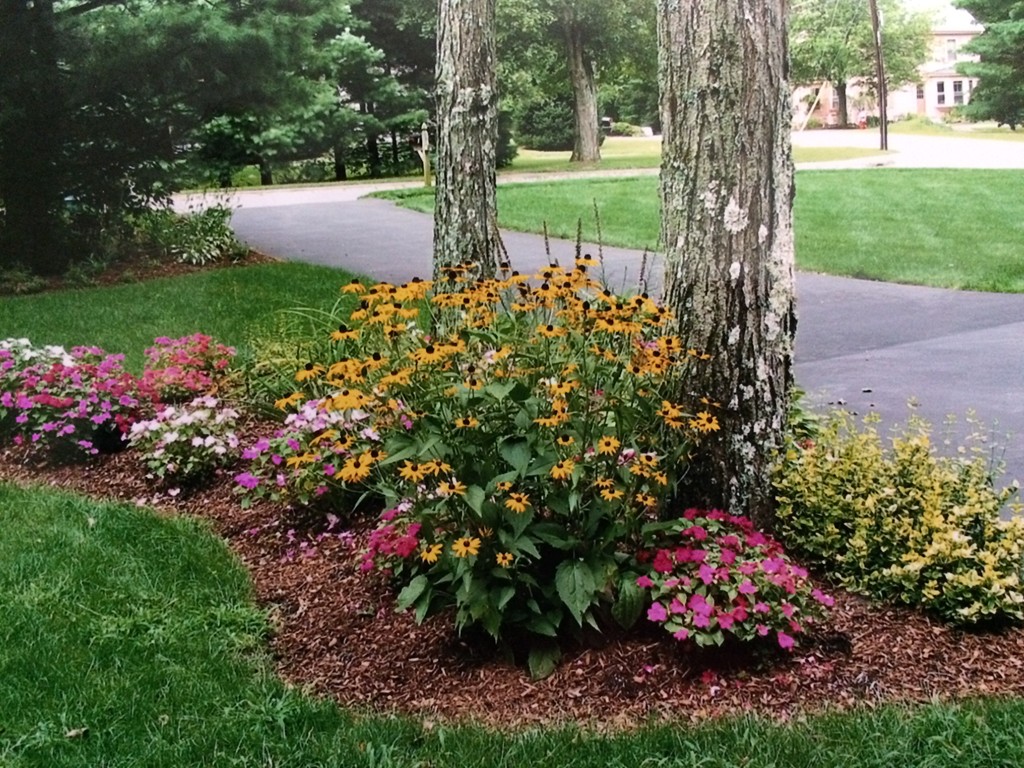 2 Forest Road Foxboro, MA 02035 - Photo 2 of 30 Gallery Image 2