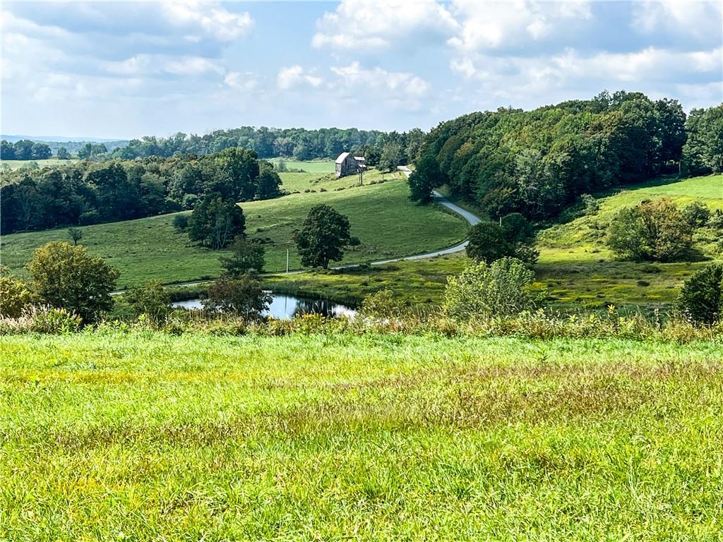 Tbd Head Road Callicoon, NY 12723 - Photo 1 of 1 Gallery Image 1