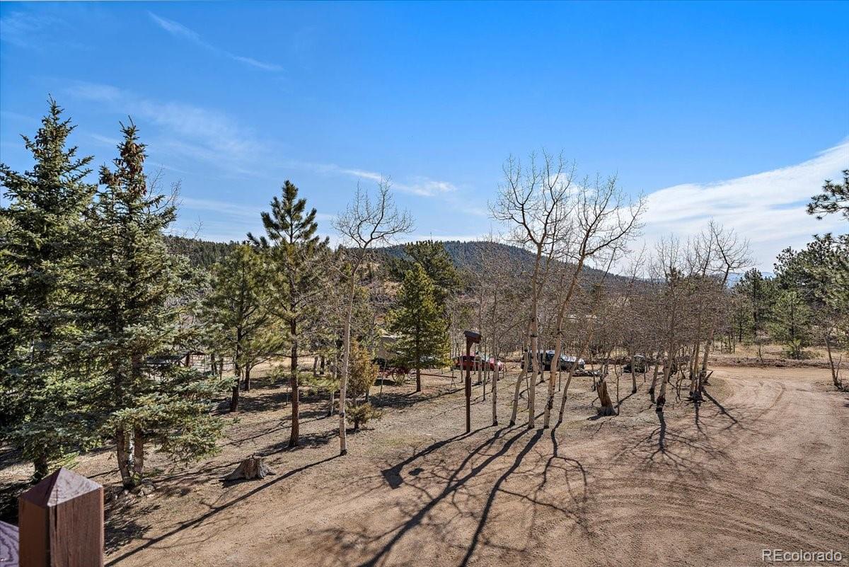 233 Saddlestring Road Bailey, CO 80421 - Photo 39 of 39 a view of outdoor space and yard