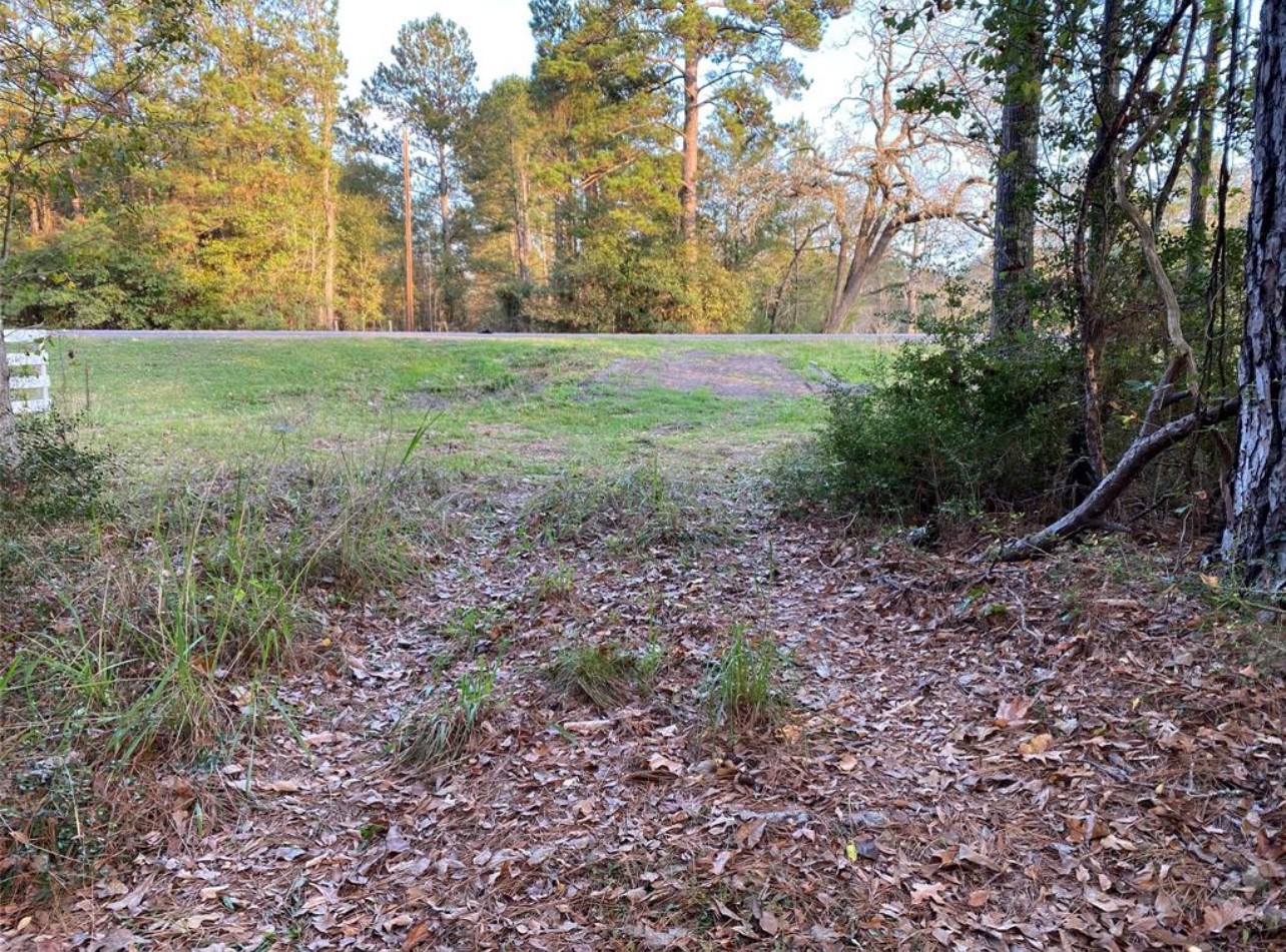 15577 North Highway 146 Liberty, TX 77575 - Photo 9 of 9 Driveway entrance off of HWY 146