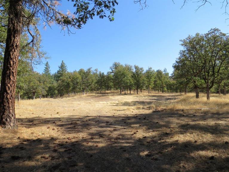 2320 Long Branch Road Eagle Point, OR 97524 - Photo 21 of 27 Additional Photo