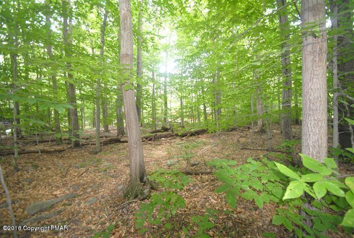 Sweet Briar Road Pocono Pines, PA 18350 - Photo 1 of 9 Sweet Briar lot