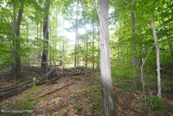 Sweet Briar Road Pocono Pines, PA 18350 - Photo 2 of 9 Sweet Briar lot