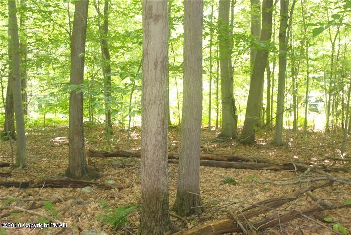 Sweet Briar Road Pocono Pines, PA 18350 - Photo 3 of 9 Sweet Briar lot