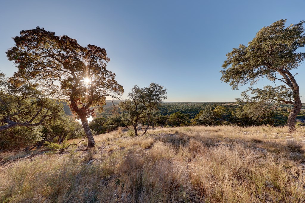 189 Cherry Springs Road Hunt, TX 78024 - Photo 12 of 29 a view of a forest with a tree