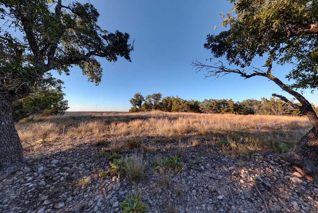 189 Cherry Springs Road Hunt, TX 78024 - Photo 10 of 29 a view of a yard with an outdoor space