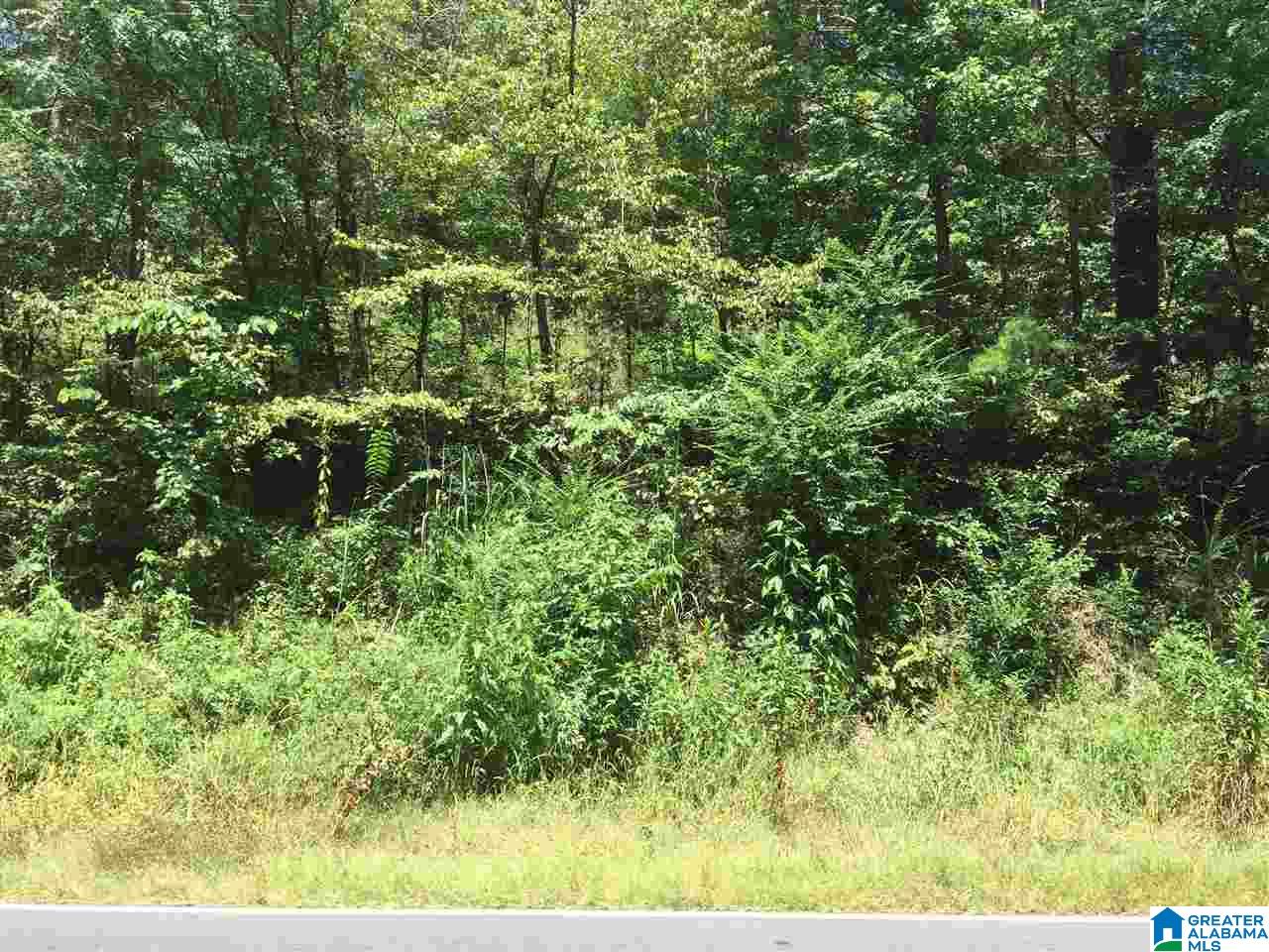 0 Old Springville Road, Unit 2 Pinson, AL 35126 - Photo 8 of 8