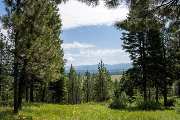 $827,250 | 5611 Appaloosa Trail, Unit 93, McCall, ID 83638