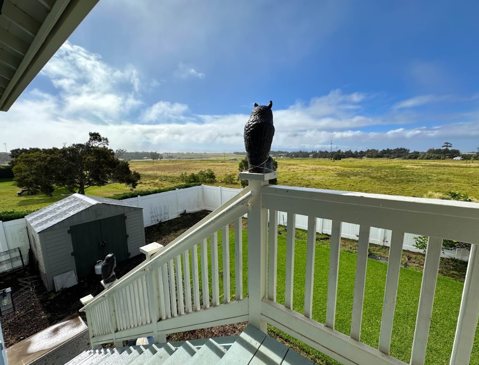 67-1310 Puaena Street Kamuela, HI 96743 - Photo 21 of 26 a view of a balcony with wooden floor and fence