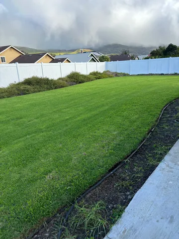 an aerial view of a house with a garden and swimming pool