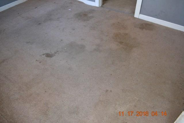 922 Old Lower Mill Road Hixson, TN 37343 - Photo 48 of 76 LRcarpetBAD