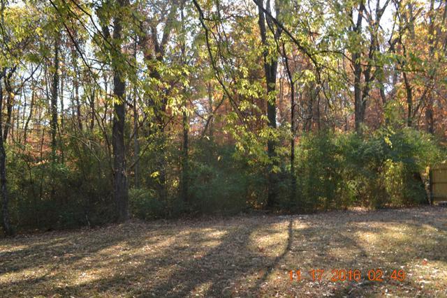 922 Old Lower Mill Road Hixson, TN 37343 - Photo 67 of 76 RearYard