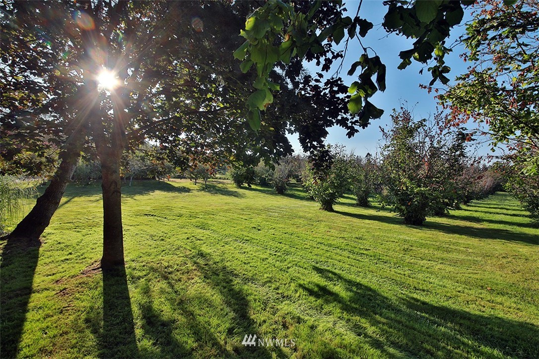 5749 Double Bluff Road Freeland, WA 98249 - Photo 9 of 40 a view of an outdoor space and a yard
