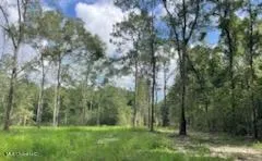 $195,000 | 1 Tanner Williams Road, Lucedale, MS 39452