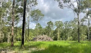 $195,000 | 1 Tanner Williams Road, Lucedale, MS 39452