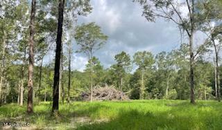 1 Tanner Williams Road Lucedale, MS 39452 - Photo 5 of 10 IMG_4235