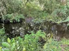 $195,000 | 1 Tanner Williams Road, Lucedale, MS 39452