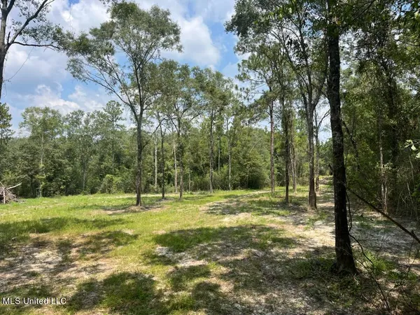 $195,000 | 1 Tanner Williams Road, Lucedale, MS 39452