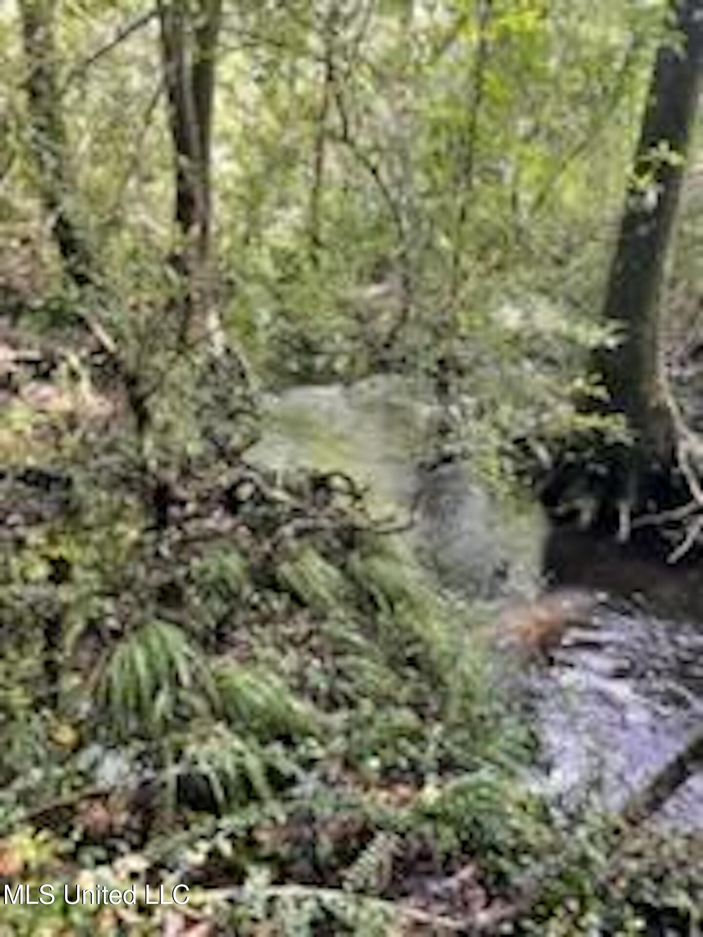 1 Tanner Williams Road Lucedale, MS 39452 - Photo 10 of 10 IMG_4206 2