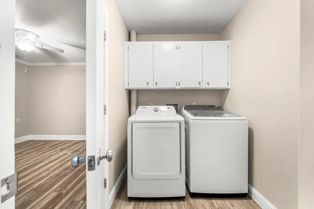 a view of a backyard