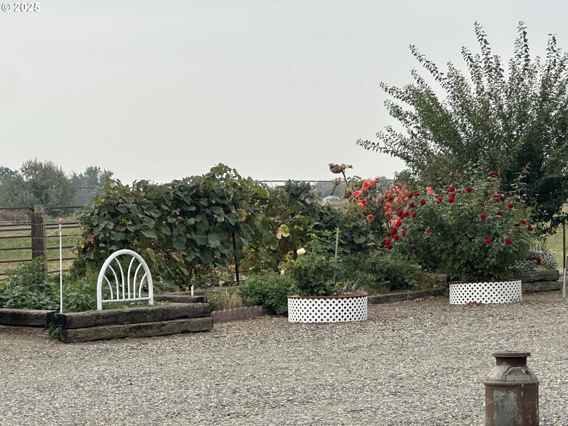 34656 County 1172 Road Stanfield, OR 97875 - Photo 3 of 47