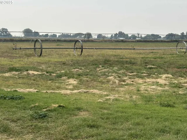 a view of outdoor space and city view