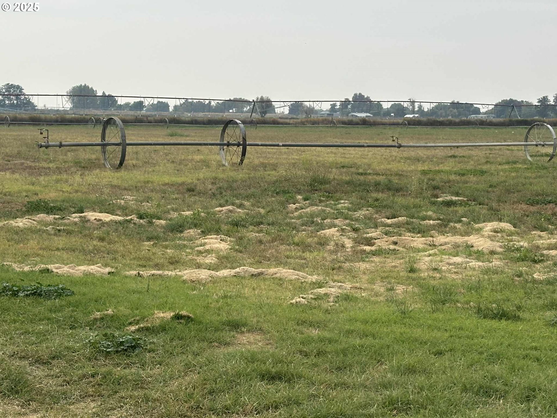 34656 County 1172 Road Stanfield, OR 97875 - Photo 5 of 47 a view of a lake view