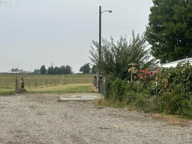 a view of an ocean from a yard