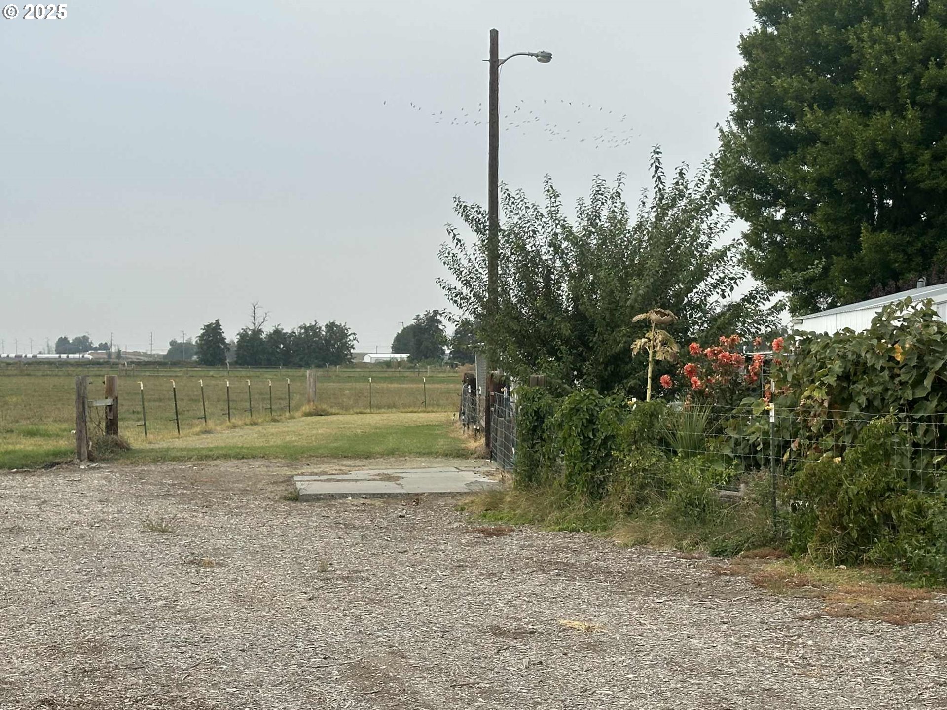 34656 County 1172 Road Stanfield, OR 97875 - Photo 6 of 47 a view of a lake with a house and a big yard