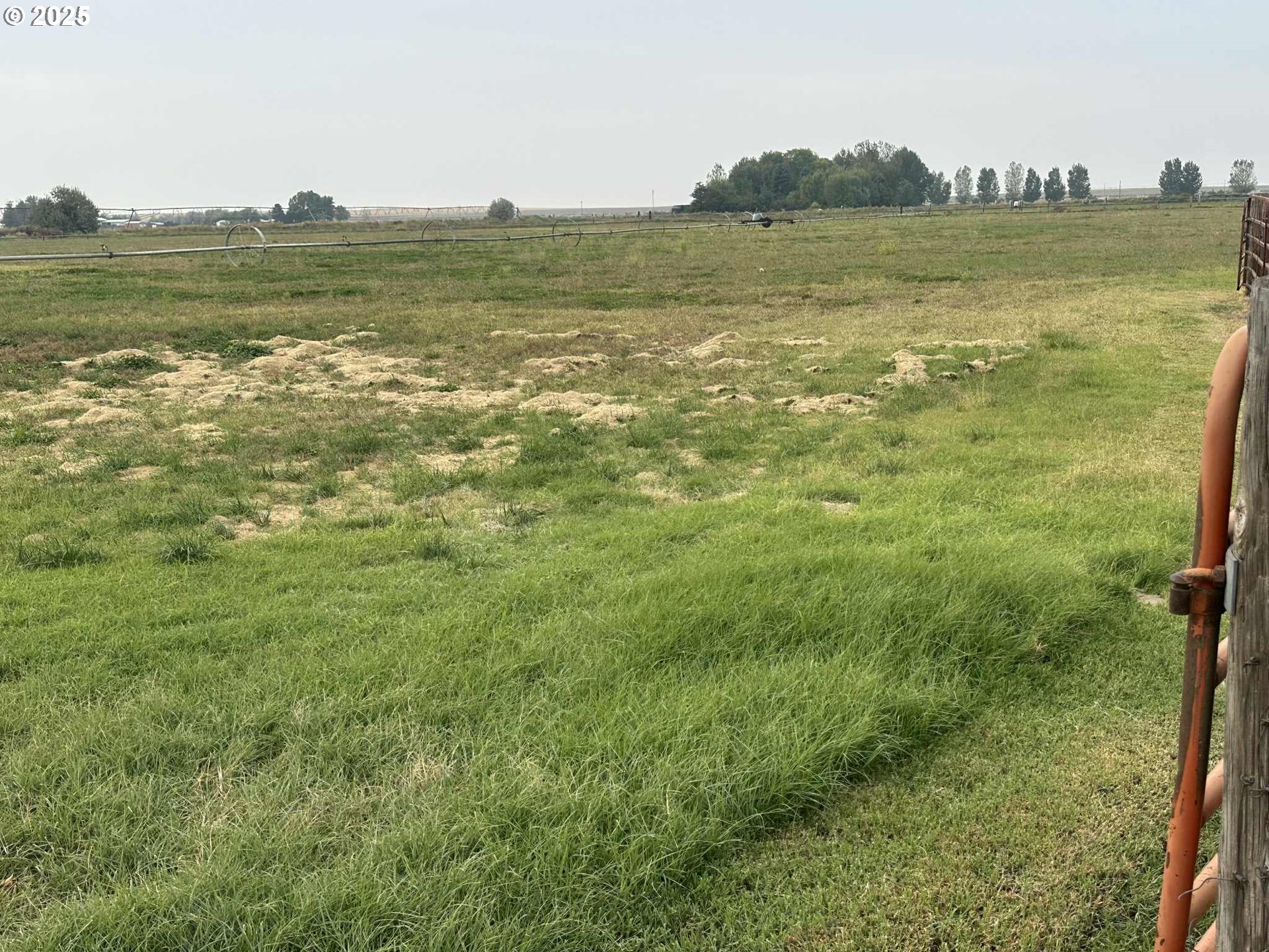 34656 County 1172 Road Stanfield, OR 97875 - Photo 8 of 47 a view of an ocean from a yard