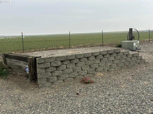 a front view of house with yard and entertaining space
