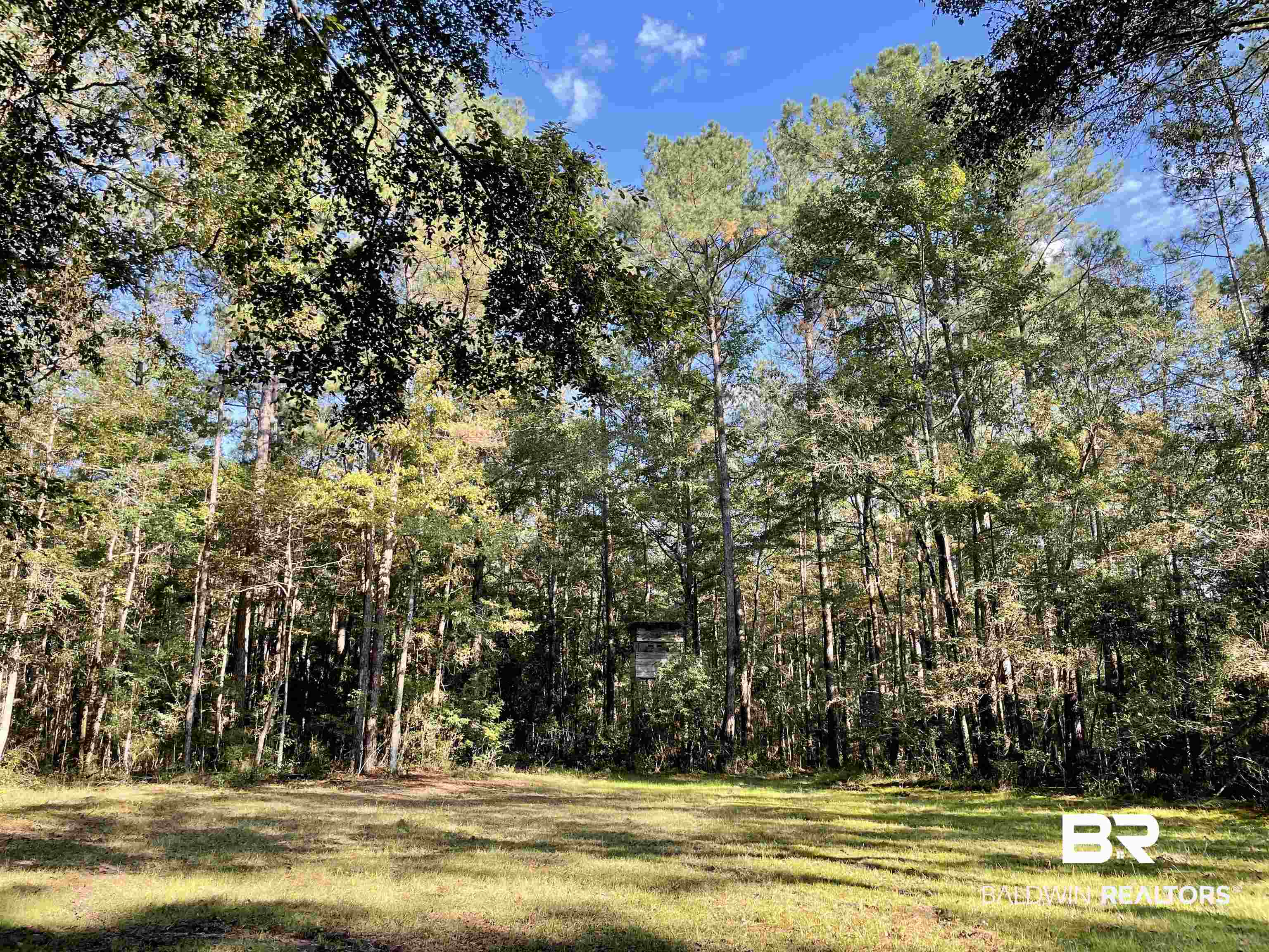 0 Country Road Vinegar Bend, AL 36584 - Photo 4 of 46