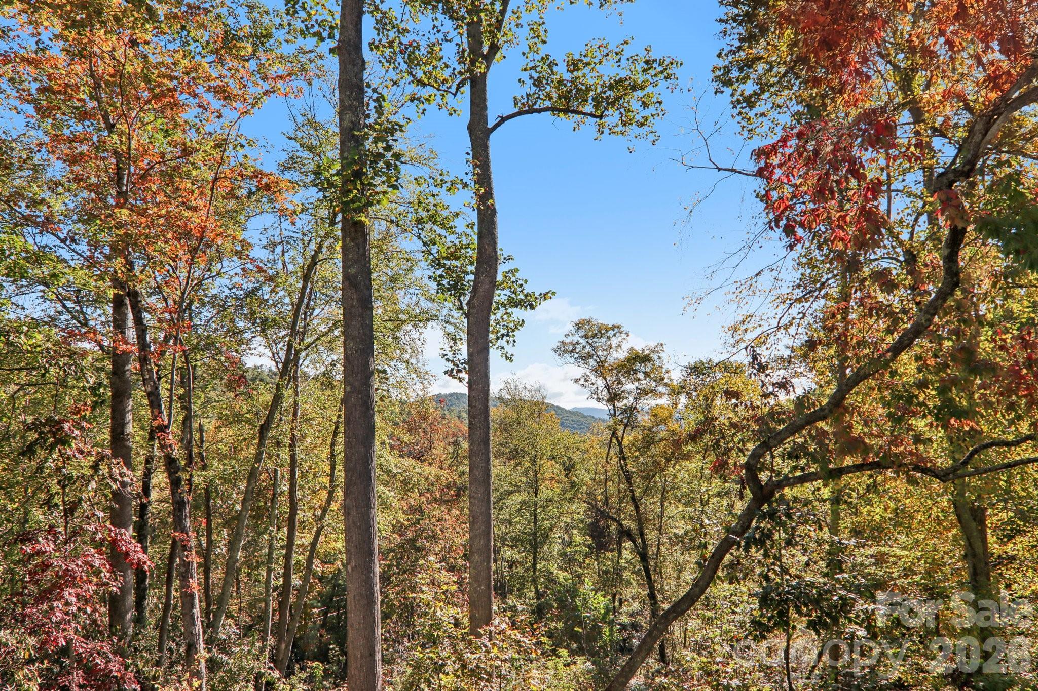 1367 Old Mill Road Hendersonville, NC 28792 - Photo 8 of 35