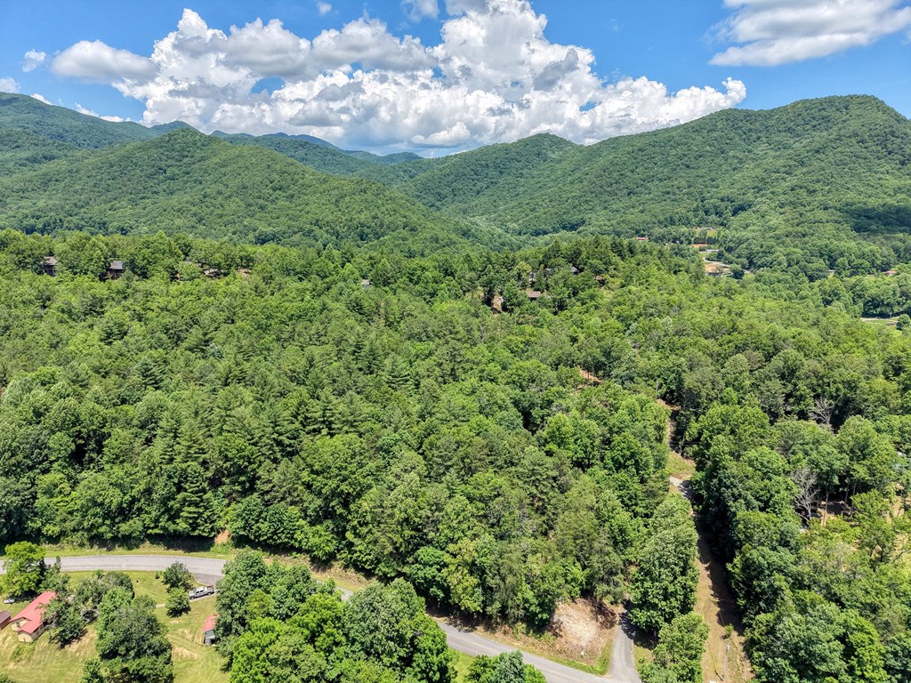 4777 Laurel Mountain Road Hiawassee, GA 30546 - Photo 28 of 34