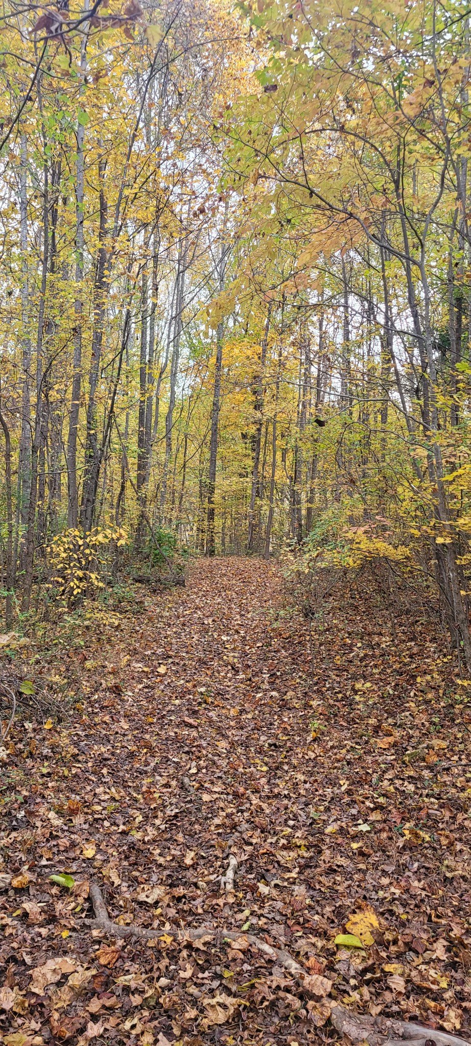 1 Sugar Ridge Road Spring Hill, TN 37174 - Photo 7 of 10