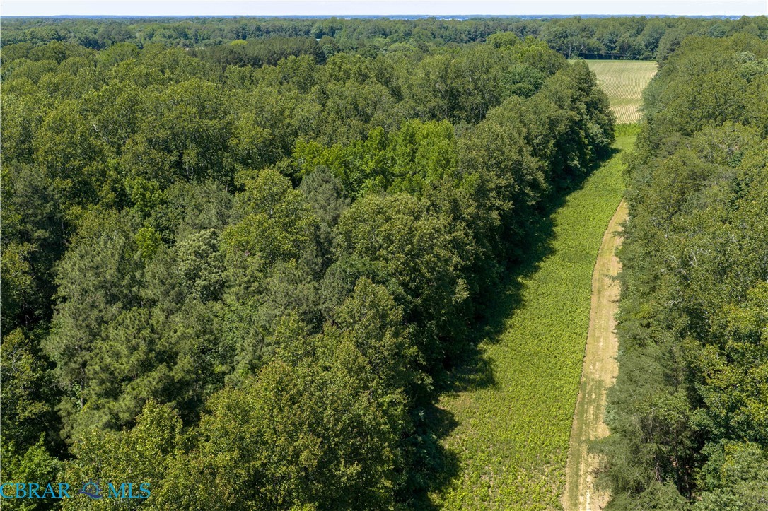 24-ac Wake Road Hartfield, VA 23071 - Photo 11 of 25