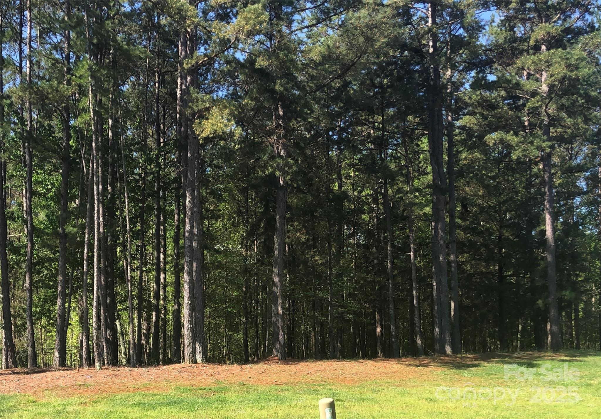 6157 Volte Drive, Unit 93 Mint Hill, NC 28227 - Photo 1 of 17