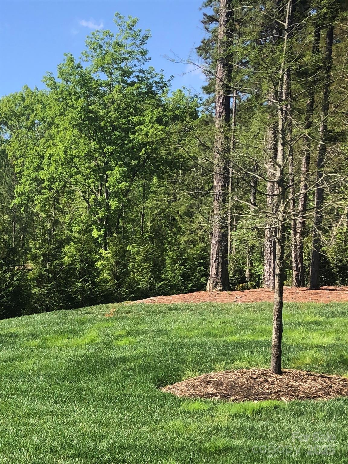 6157 Volte Drive, Unit 93 Mint Hill, NC 28227 - Photo 5 of 17