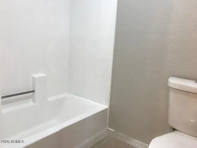 a bathroom with a toilet and a bathtub