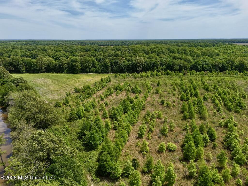 1 Highway 3 Lambert, MS 38643 - Photo 62 of 102 669A4AA1-8B1D-46F1-8752-858A114BF5FE_1_1