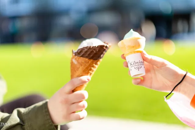 $2,510,000 | 802 Tyrrell Road, Raleigh, NC 27609