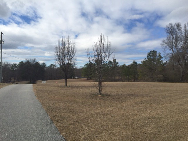 5016 Hartley Bridge Road Macon, GA 31216 - Photo 23 of 27 a view of outdoor space