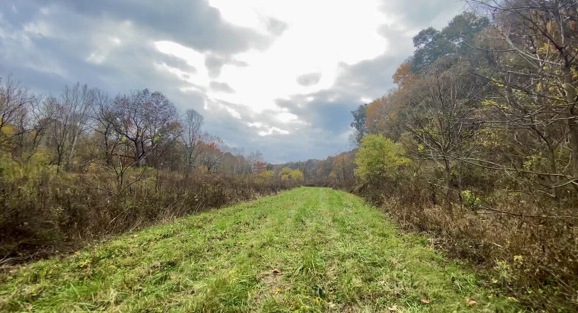 6450 Bybee Road Winchester, KY 40391 - Photo 52 of 56 IMG_9147