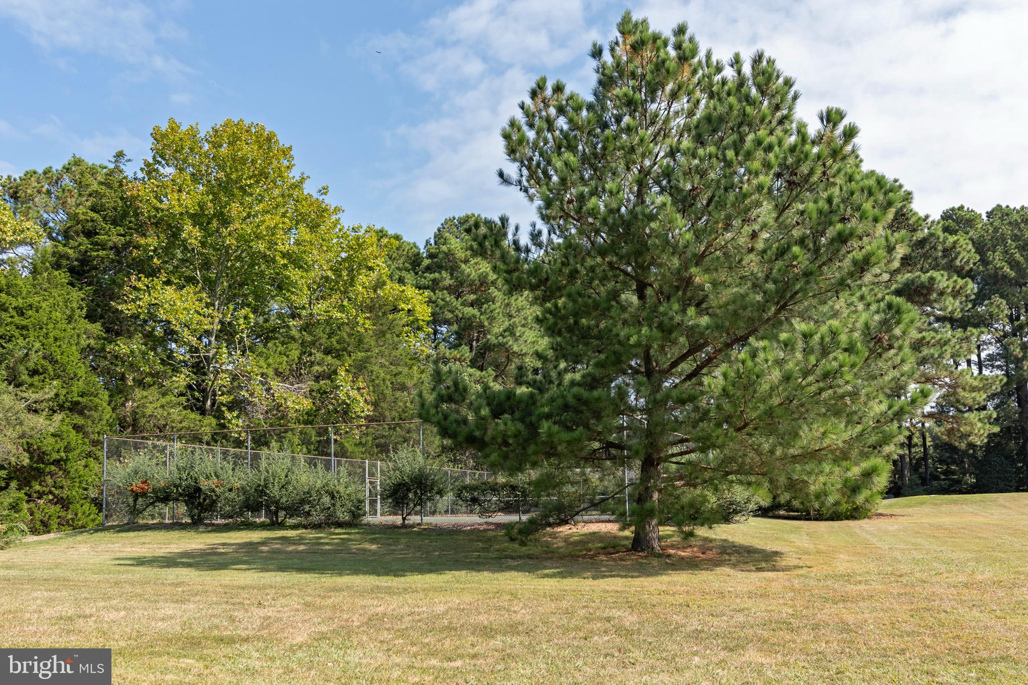 9338 Bantry Road Easton, MD 21601 - Photo 22 of 43 a swimming pool with trees in the background