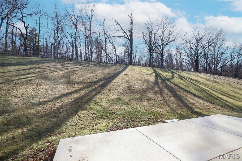 264 Arbors At Bridle Path Ballwin, MO 63021 - Photo 4 of 8