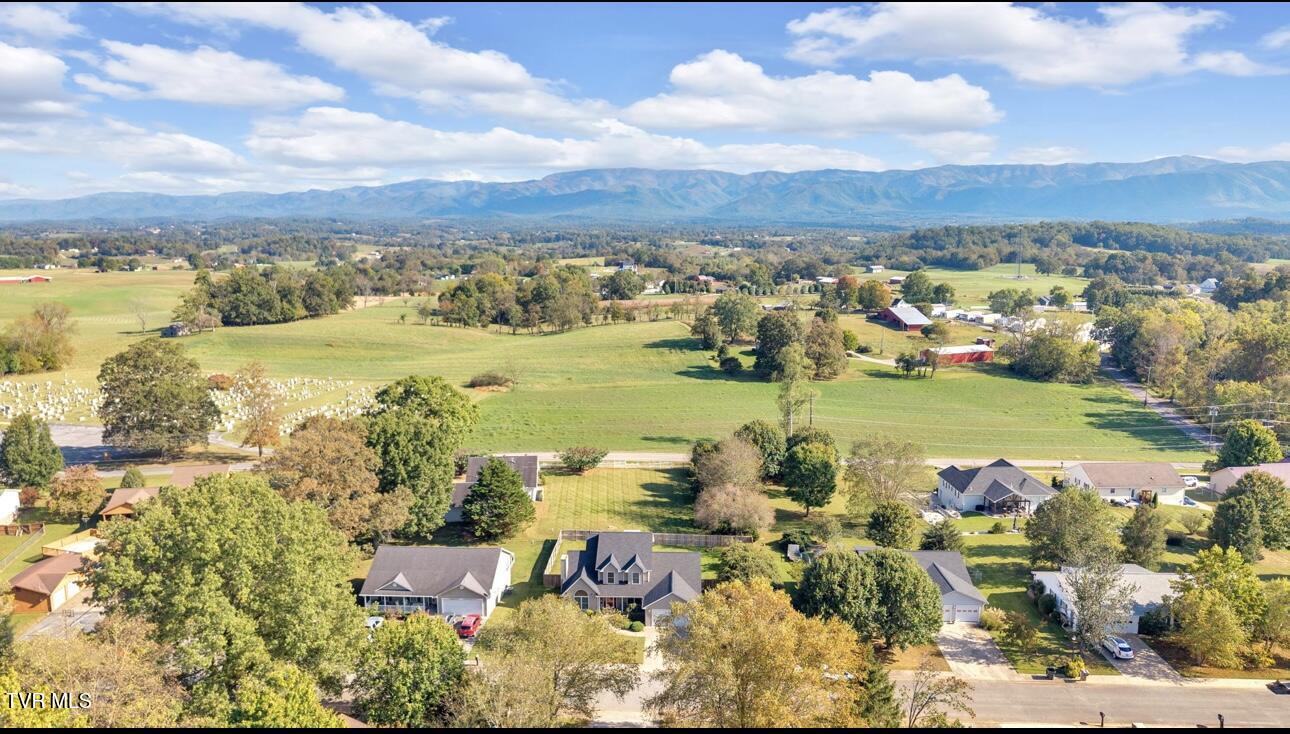 31 Colricia Drive Greeneville, TN 37745 - Photo 40 of 45 IMG_6329