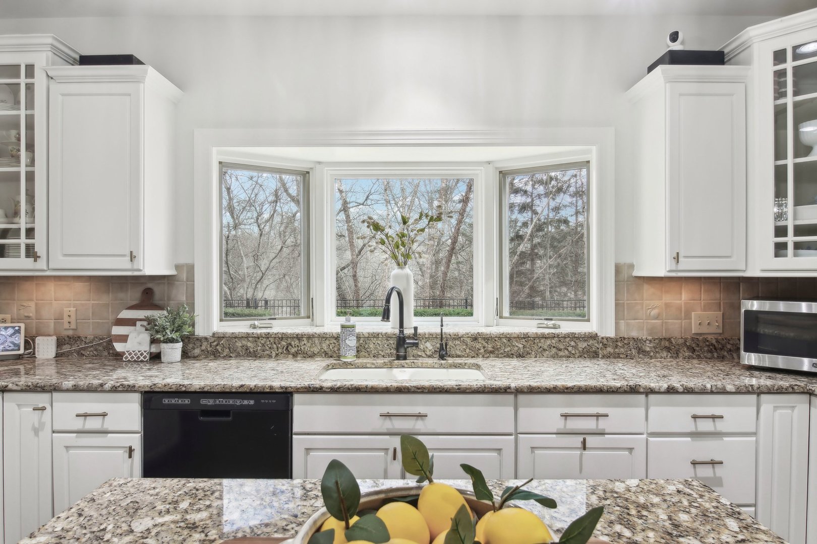 1005 Bridle Lane Cary, IL 60013 - Photo 14 of 64 a kitchen with granite countertop a sink and white cabinets