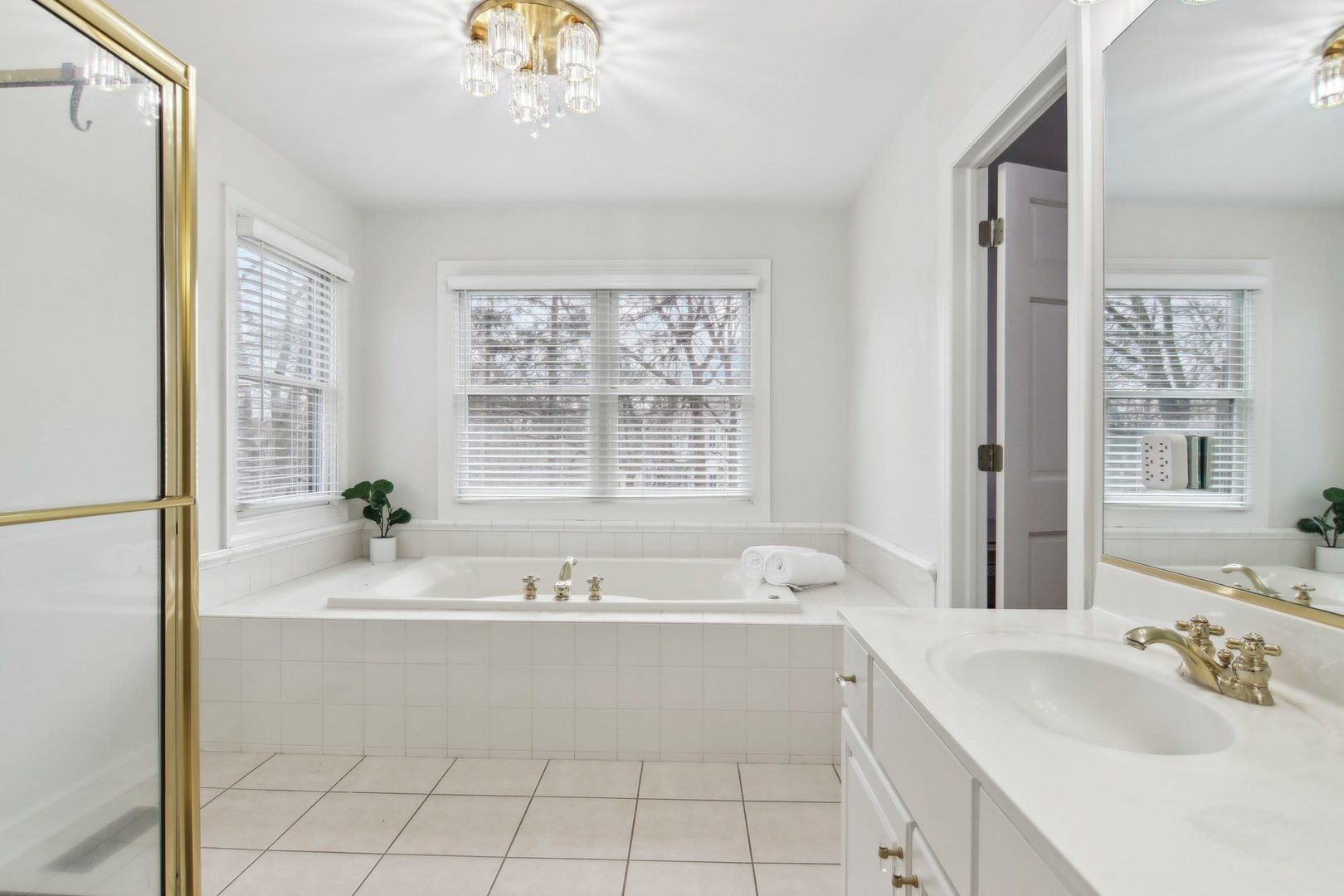 1005 Bridle Lane Cary, IL 60013 - Photo 28 of 64 a bathroom with a bathtub a sink and a window
